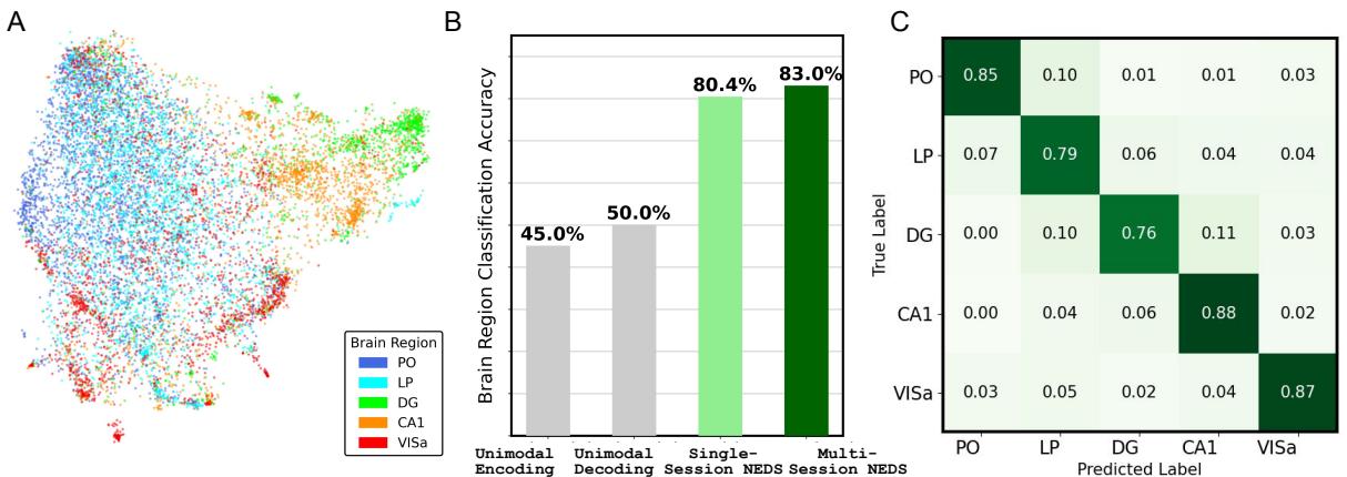 Figure 4. Brain region classification. Panel A shows a UMAP projection of neuron embeddings clustering by region. Panel B shows classification accuracy. Panel C is a confusion matrix.