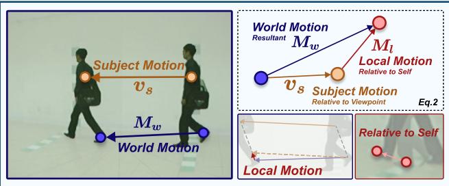 Definition of World vs. Local Flow. World motion (Mw) is relative to the environment. Local motion (Ml) is relative to the subject.