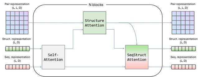 Architecture diagram showing the integration of Pair Representation and Structure Attention into the model.