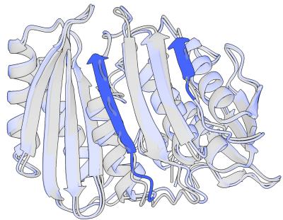 Visual comparison showing how residual diffusion refines the local geometry of protein loops.