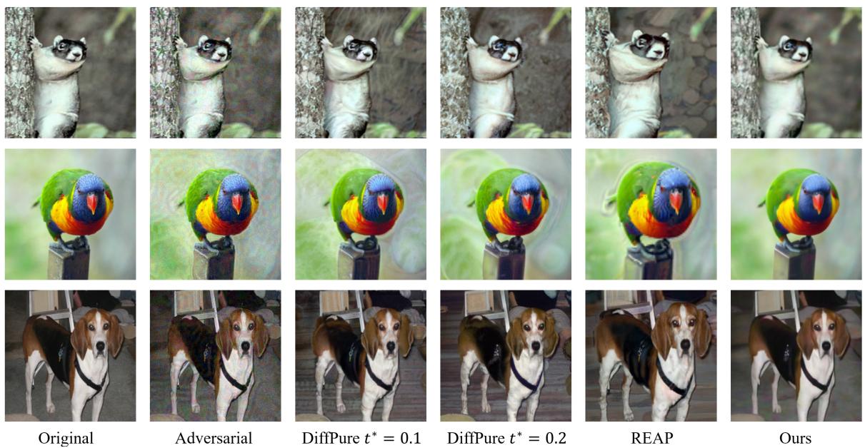 Visual comparison of purified images.
