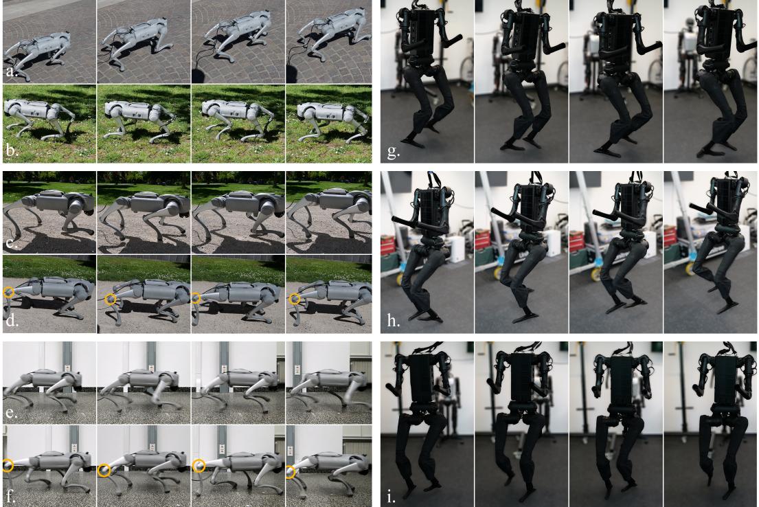 Real-world experiments. The policy controls the Unitree Go2 (quadruped) and H1 (humanoid) across various terrains. It also adapts to a &ldquo;limping&rdquo; constraint shown in red.
