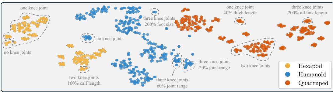 t-SNE visualization of the action latent vectors. The points cluster clearly by morphology class (Humanoid, Quadruped, Hexapod) and sub-cluster by joint counts.