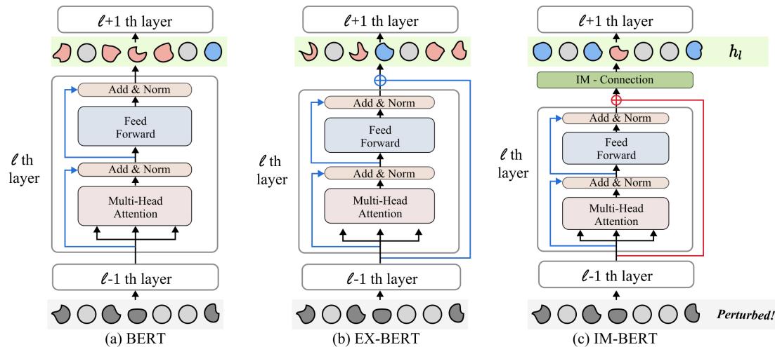 图 1: BERT、EX-BERT 和 IM-BERT 架构的比较。