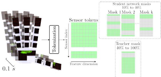 Figure 2: Illustration of Xela signal corruption via masking for SSL prediction task: Once a 1OO(ms) window of tactile measurements and sensor positions are tokenized, block masking is applied to corrupt the signal,.For each data sample,the student network receives \\(k\\) different masks,each randomlyretaining \\(10 \\%\\) to \\(40 \\%\\) of the data denoted \\(\\bar { z _ { i } }\\) .The teacher network,in contrast receives 1-2 masks each retaining \\(40 \\%\\) to \\(100 \\%\\) of the data denoted \\(z _ { i } ^ { * }\\)