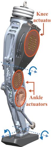 Figure 2: One-leg hopper used in this study.