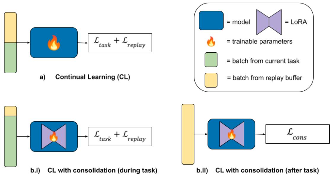 展示有无巩固的持续学习示意图。(a) 标准学习仅在训练中使用回放。(b.i) 任务训练阶段采用低 RR 与 LoRA。(b.ii) 任务后增加一个回放阶段进行巩固。