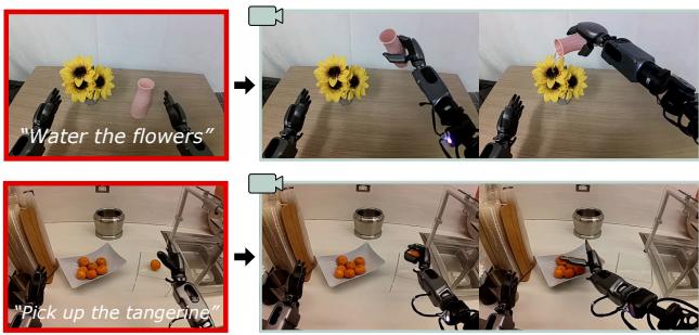 Step 2: Rollout Video World Model to generate video sequences.