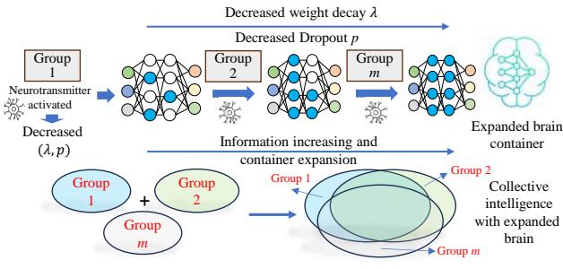Figure 2. The process of elastic growth of common container