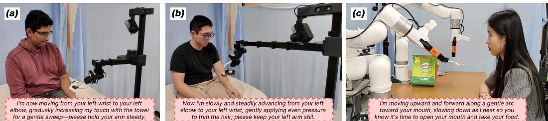 Figure 3: The three tasks implemented and used in the user study: bathing, shaving, and feeding.