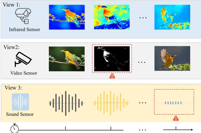 Figure 1. An illustrative diagram of noise in a multi-view scenario.