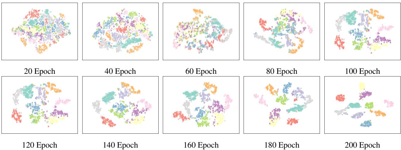 Figure 11. Visualization of the representations during the training process on UCI-digit dataset.