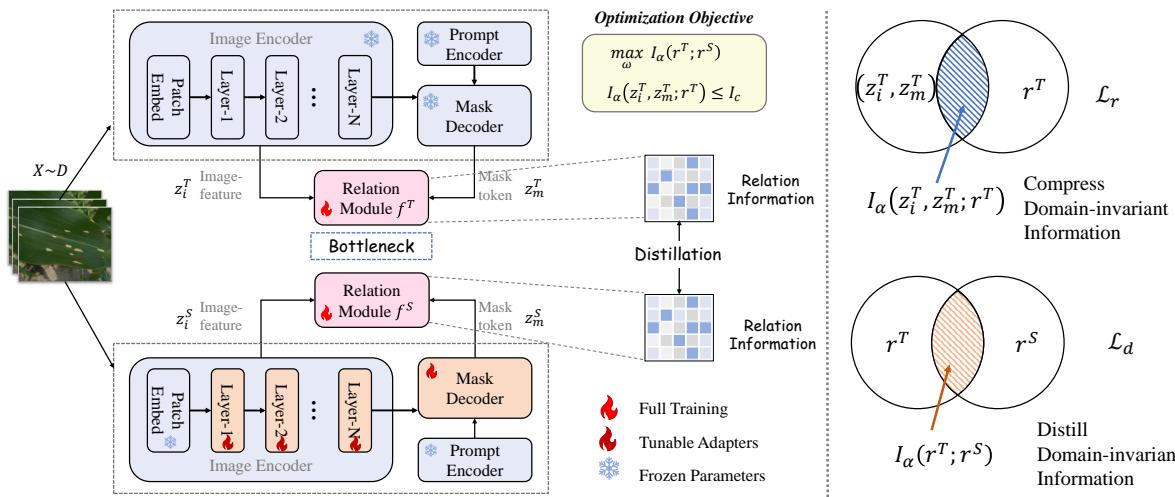 Figure 2: The Flowchart of InfoSAM.