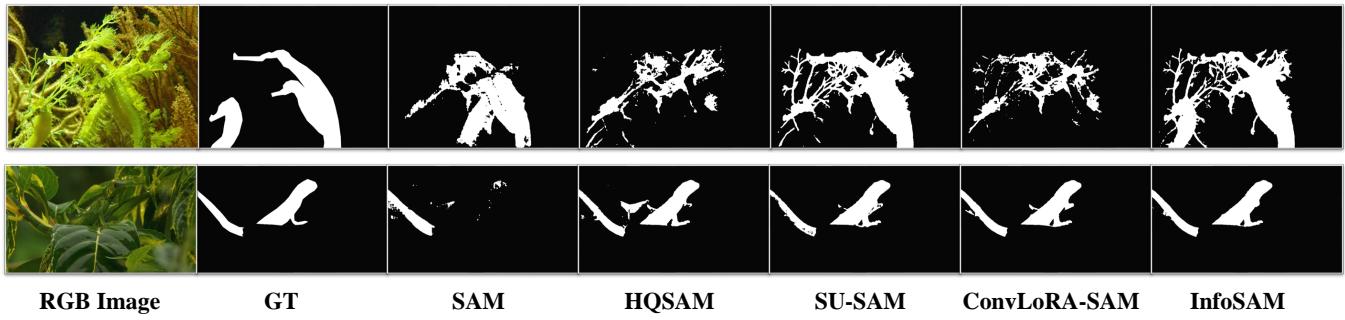 Figure 10: Visualization results on camouflaged object segmentation.