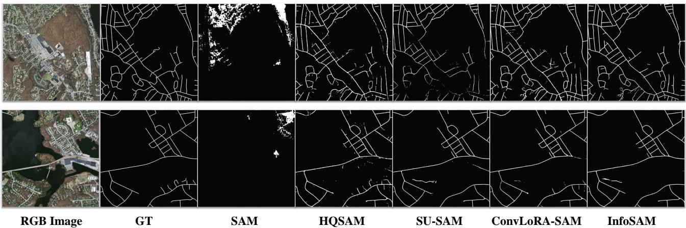 Figure 12: Visualization results on remote sensing road segmentation.