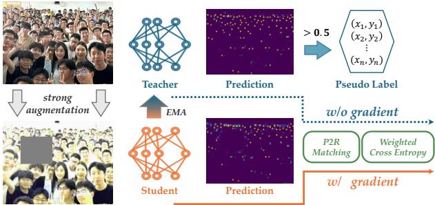 Figure 1. The workflow of semi-supervised point-based counting methods. The teacher model generates pseudo labels by extracting the foreground pixels, while the student model takes the corresponding strongly augmented image as input to construct the computation graph. The training loss between the pseudo label and the student&rsquo;s prediction involves two steps: the proposed P2R matching and the weighted cross-entropy computation.