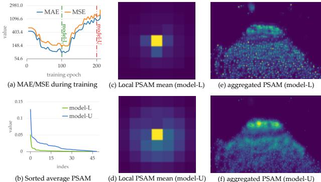 Figure 3. Observations in PSAM. (a) The training process. (b) Comparing sorted values of PSAMs. (c) & (d) Visualizing the average of local PSAM, and (e) & (f) the aggregated PSAM to compare model-L and model-U from a global perspective.