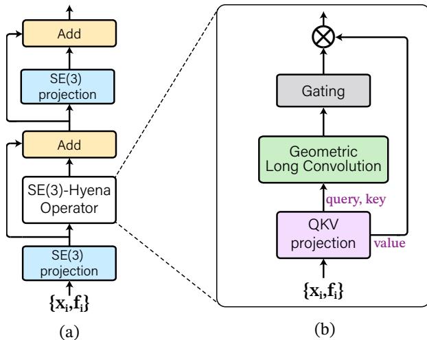 Figure 2. Geometric Hyena block. (a) Geometric Hyena block includes the SE(3)-Hyena operator and equivariant projections. (b) The SE(3)-Hyena operator includes query, key, value projection, geometric long convolution for global context aggregation, and gating.