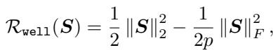 Definition of the R_well regularizer.