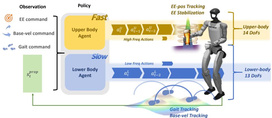 Figure 2: Overview of the SoFTA framework: The framework employs two distinct agents that share the same observation but act within separate action spaces at different rates, targeting two fundamentally different task: stable end-effector control and robust locomotion. Stable end-effector control requires a sharp reward landscape and rapid upper-body actions for precise manipulation, whereas robust locomotion focuses on maintaining robustness under gait rewards.