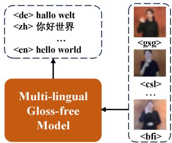 Figure 1: Overview of multilingual gloss-free model. Here, gsg = German Sign Language, csl = Chinese Sign Language,and bfi = British Sign Language.