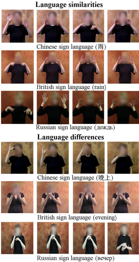Figure 5: Sign language similarities and differences across languages. Sign videos are from SpreadTheSign. Note for privacy: we anonymize signers.