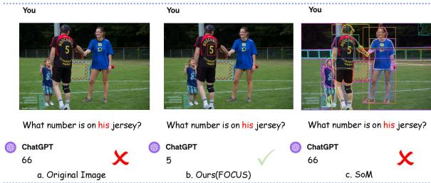 Comparison of methods: baseline (original image), FOCUS, and SoM.