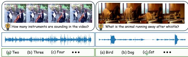 (a) QA with Dense Audio from MUSIC-AVQA v2.0 vs (b) QA with Sparse Audio from VGG-Sound. Music performances contain dense and continuous audio signals.
