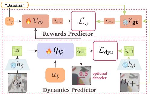 World Model Architecture for simultaneous dynamics and rewards prediction.