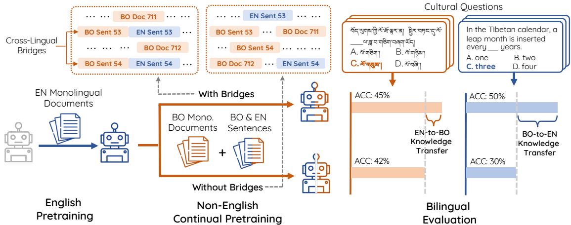 Figure 2: Our framework for studying the cross-lingual transfer of cultural knowledge. We use the transfer between English and Tibetan (bo) as an illustrative example.