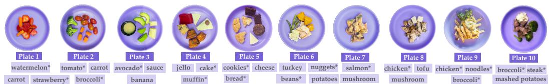 Figure 4: Experimental setup: 10 in-the-wild dishes. * denotes food items unseen during training. Table 1: Quantitative results on bite acquisition.
