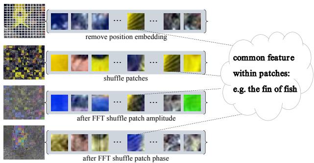 Disrupted fish image example explaining pattern recognition.