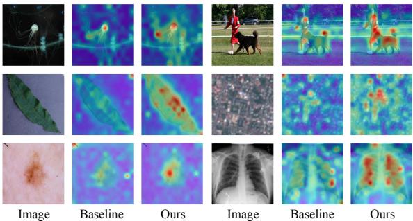 Heatmap comparison between Baseline and ReCIT.