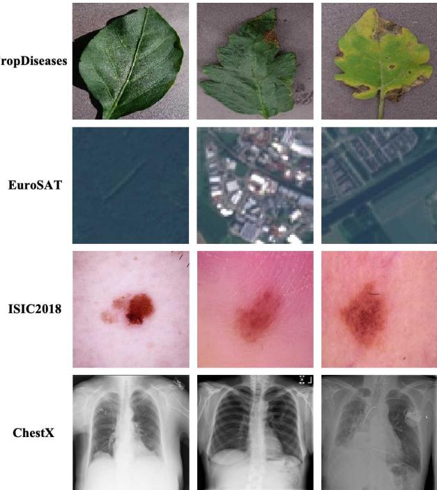 Samples of target datasets.