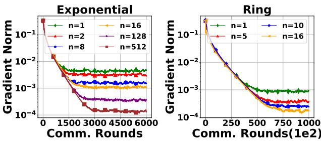 Experimental results showing linear speedup on exponential and ring graphs.