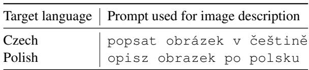 Table 3: Prompts for image description generation used with the paligemma-3b-mix-224 model.
