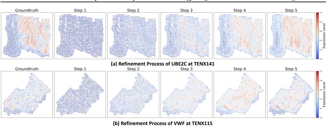 Figure 6. Two breast cancer examples of the refinement process performed by STFlow.
