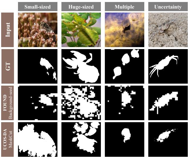 Examples of low-quality pseudo-labels generated by fixed strategies compared to the proposed method.