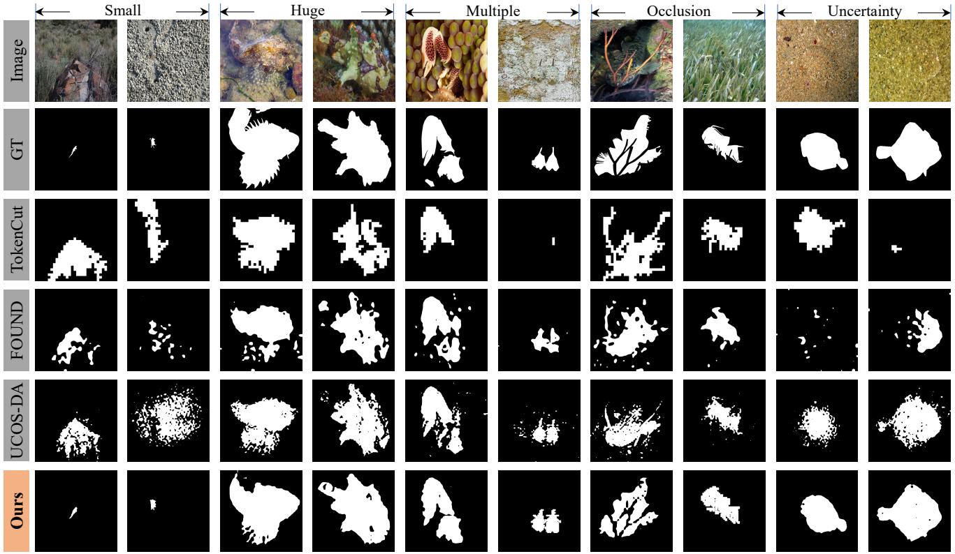 Visual comparison of segmentation results in challenging scenarios.