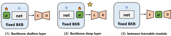 Figure 3: Three different positions for adapters: shallow, deep, and between learnable modules.