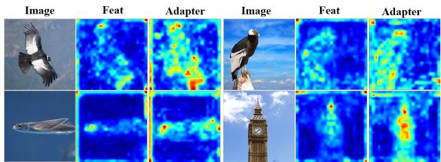 Figure 4: Visualization of feature maps. The adapter captures complex, domain-specific features.
