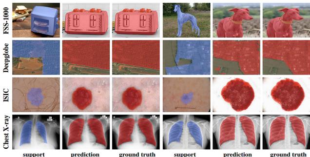 Figure 7: Qualitative results of the model for 1-shot setting.