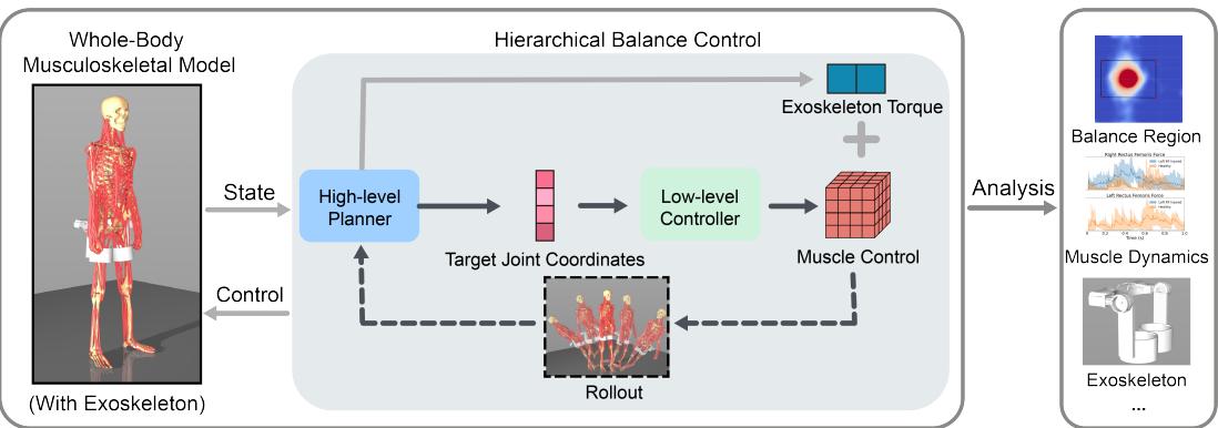 Figure 1: Control and analysis of human musculoskeletal standing and falling.
