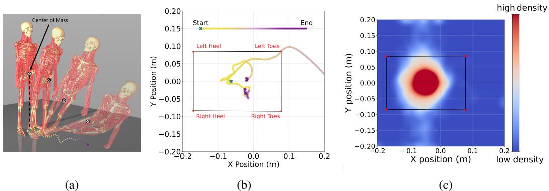 Figure 4: Human static balancing behavior dynamics.