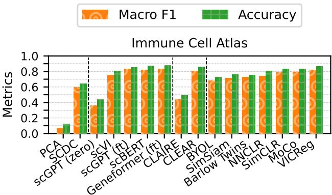 Uni-modal cell-typing with one sequencing technology (10X 5&rsquo; v2) of the Immune Cell Atlas as a hold-out set. We train the encoder and classifier. The finetuned scGPT and Geneformer perform the best, while the generic VICReg method is a close third.