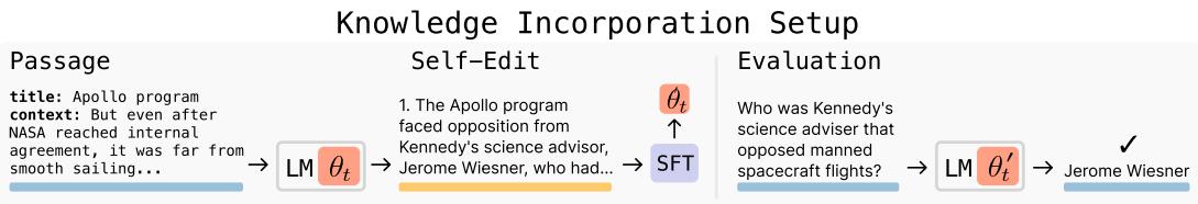 Knowledge incorporation setup. The passage leads to a self-edit (implications of the passage), SFT updates the model, and the model answers questions without seeing the original passage.