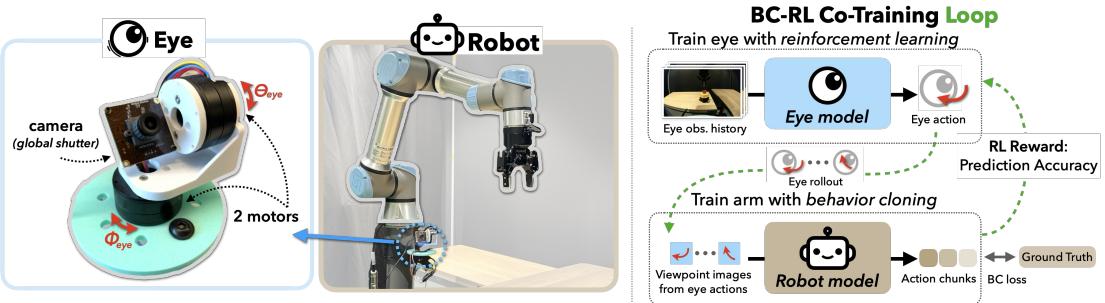 EyeRobot Hardware and Framework. Left: The physical mechanical eye. Right: The training loop diagram.