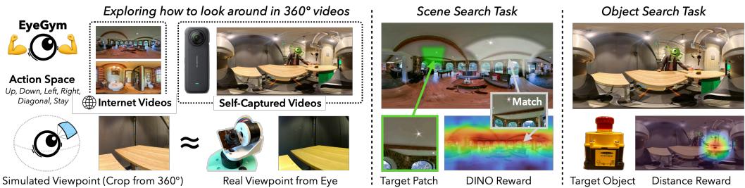 EyeGym Visualization. Shows how the system simulates looking around by cropping 360-degree video data.