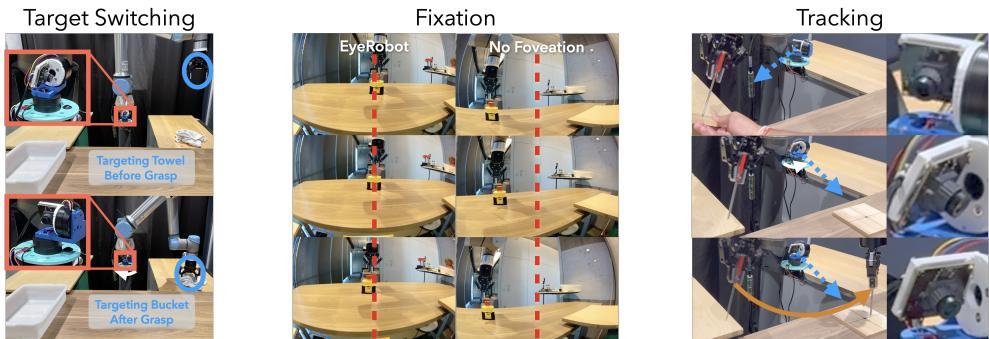 Emergent Eye Behaviors: Target Switching, Fixation, and Independent Tracking.