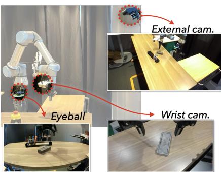 Comparison of views from External, Eyeball, and Wrist cameras.